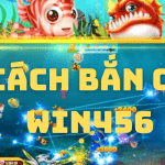 Hướng dẫn bắn cá ăn xu cực lớn từ WIN456 mỗi ngày